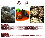 菇类广告