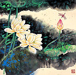 雨后清荷