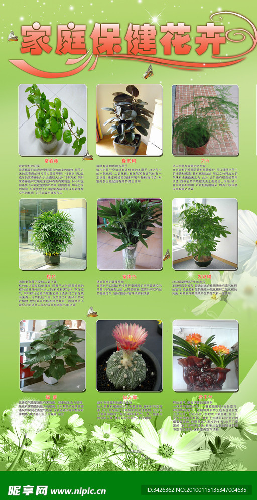 花卉
