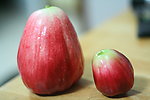 马六甲薄桃 malay apple