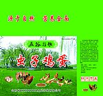 虫子鸡蛋