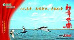 响水新港口