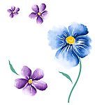 水彩 花
