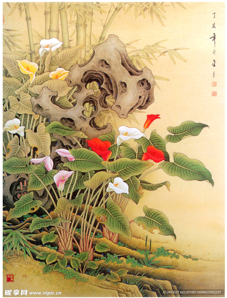 马蹄莲