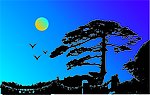 夜松