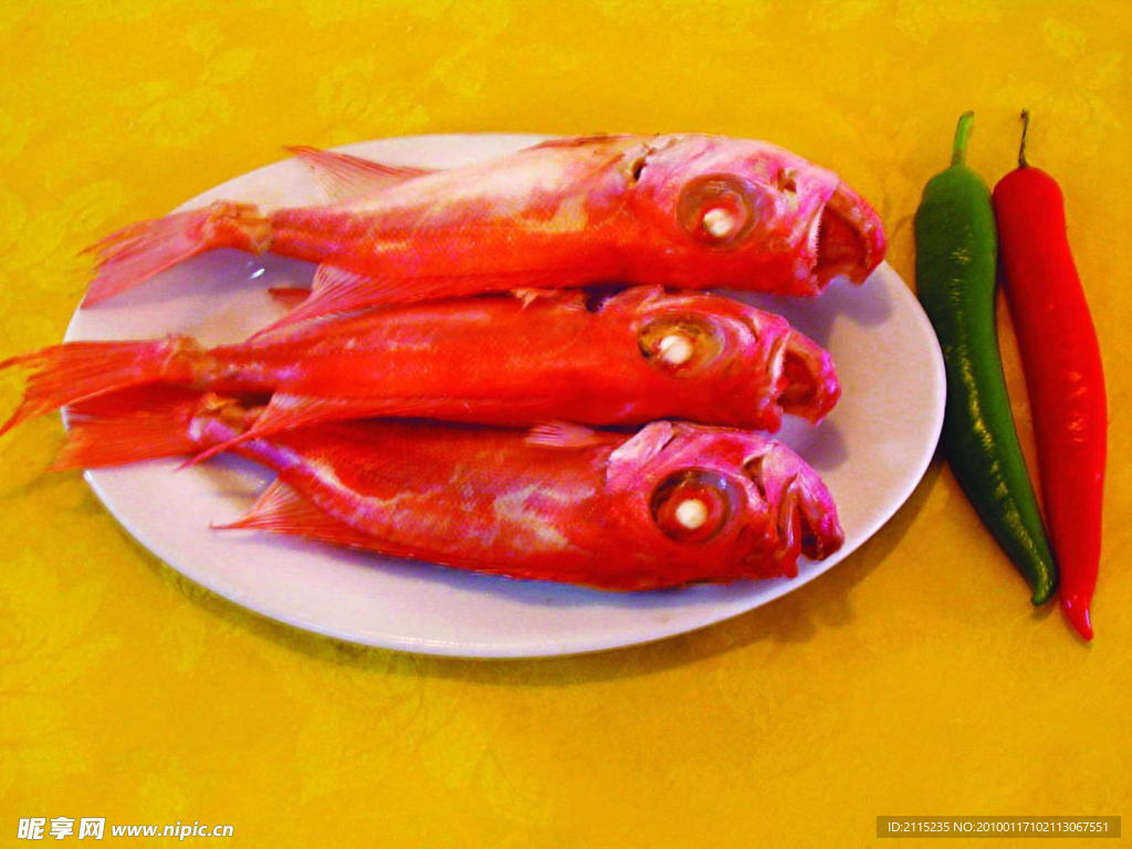 大眼鸡