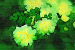 花草油画