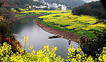 山村风光