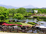 园林景