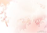 影楼模版