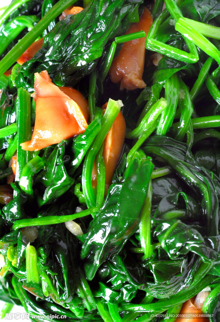 菠菜毛粯子