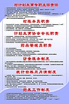 村计划生育专职主任责任