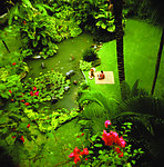 SPA 瑜伽 绝美风景