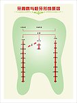 牙科展板
