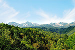 山光