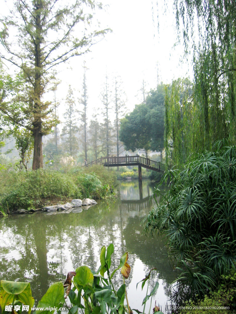 小溪风景