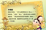 相框 笑话 卡通
