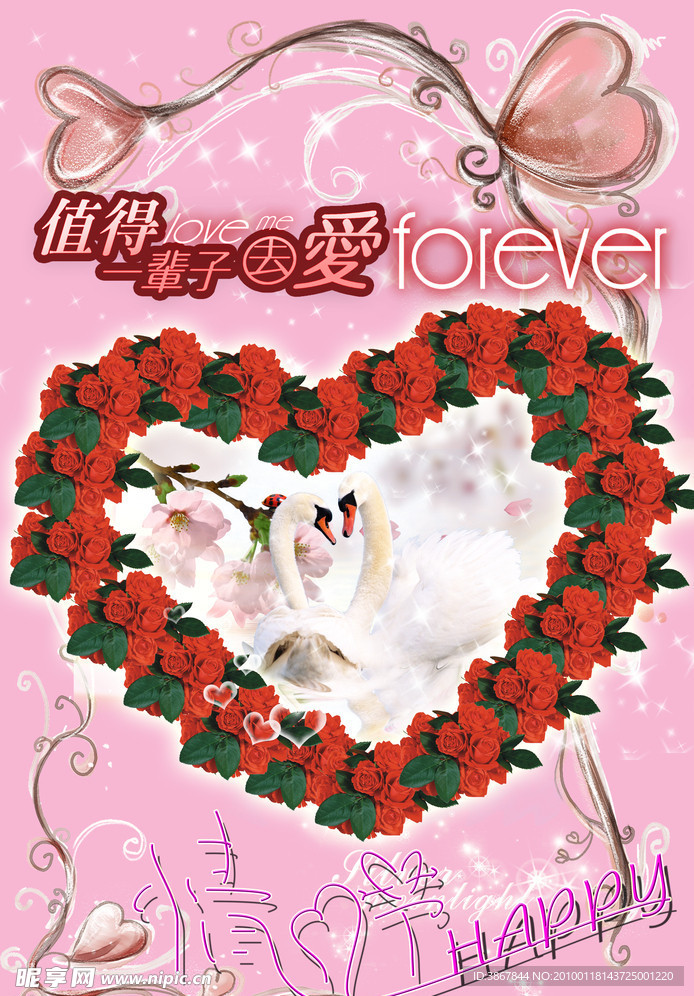天鹅情人节