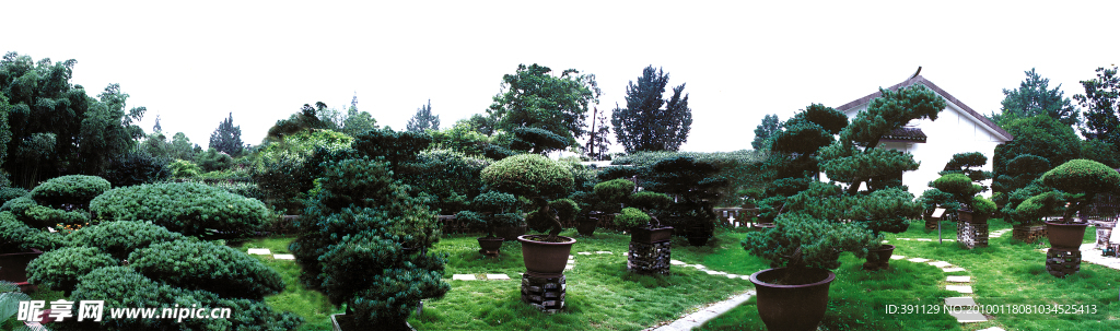 如皋水绘园盆景