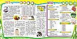预防感冒宣传栏