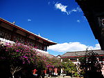 庭院风景