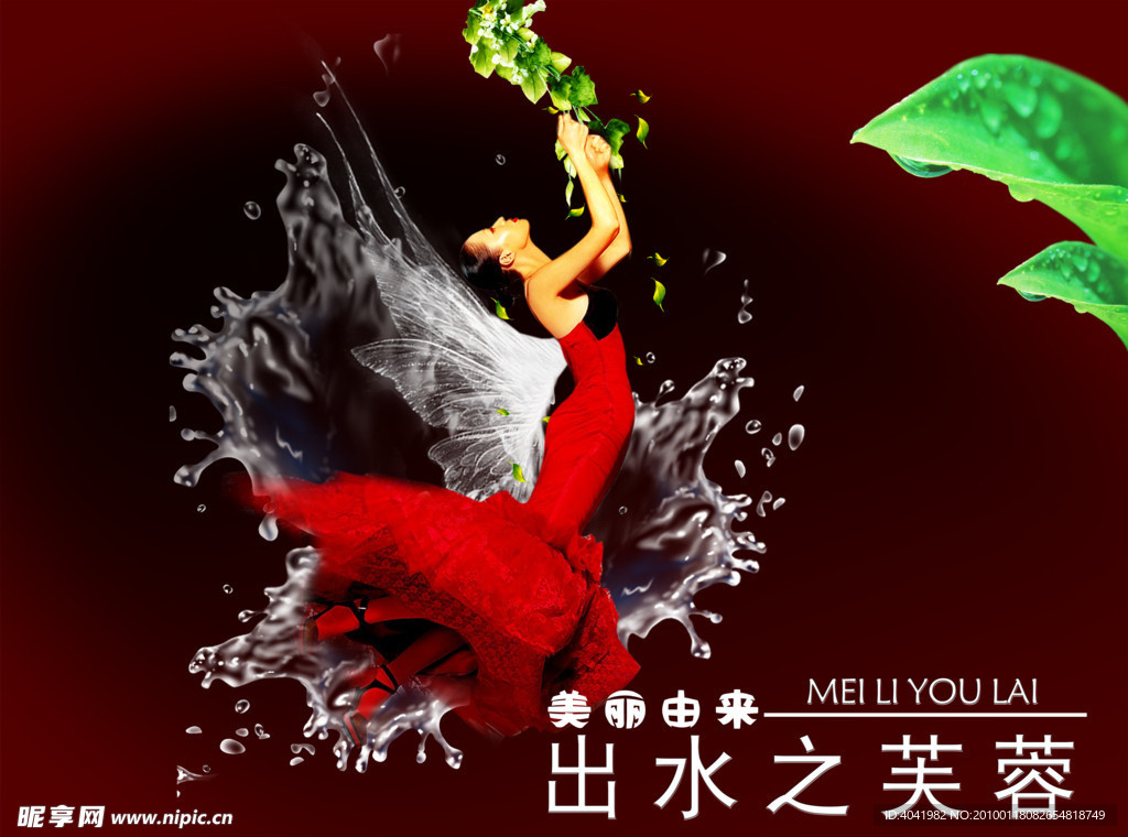 出水芙蓉