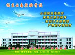 学校