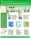 绿色网站首页