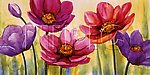 花卉油画65 （40厘米 X 80厘米）