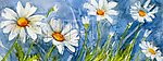 花卉油画56 （30厘米 X 80厘米）