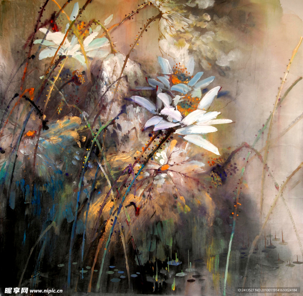 荷花