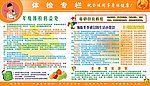 健康体检专栏展板