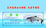 鱼包装