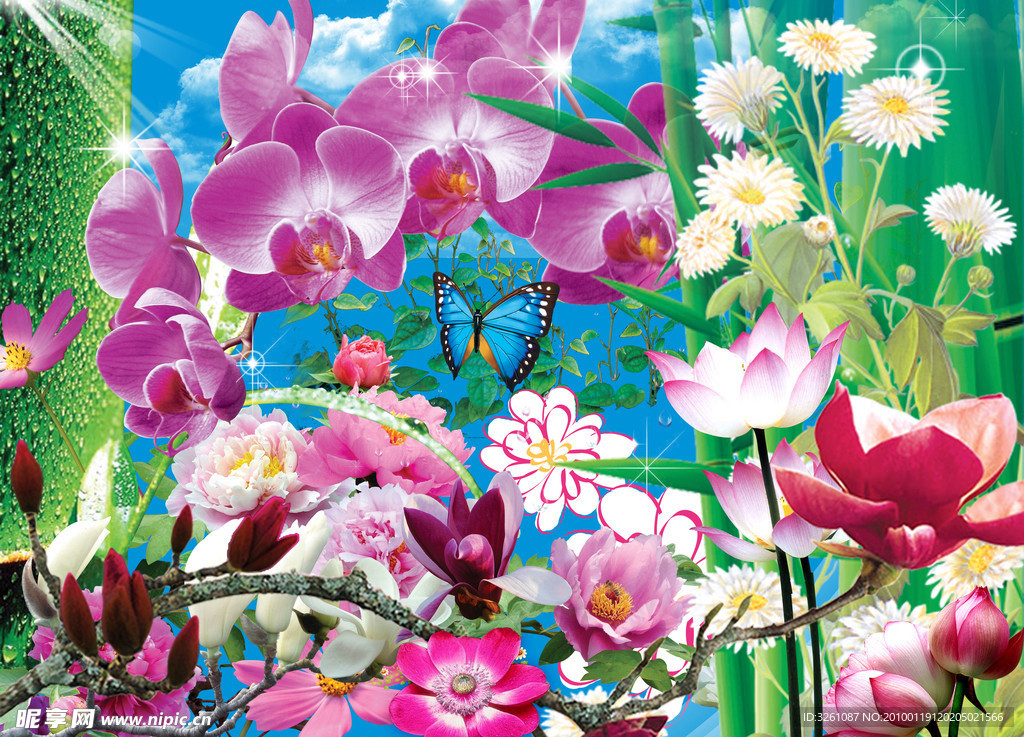 各种花