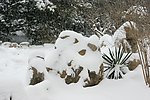雪景