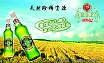 银麦啤酒