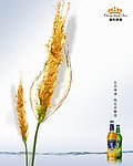 原创生态啤酒广告（二）