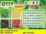 避风塘新品广告