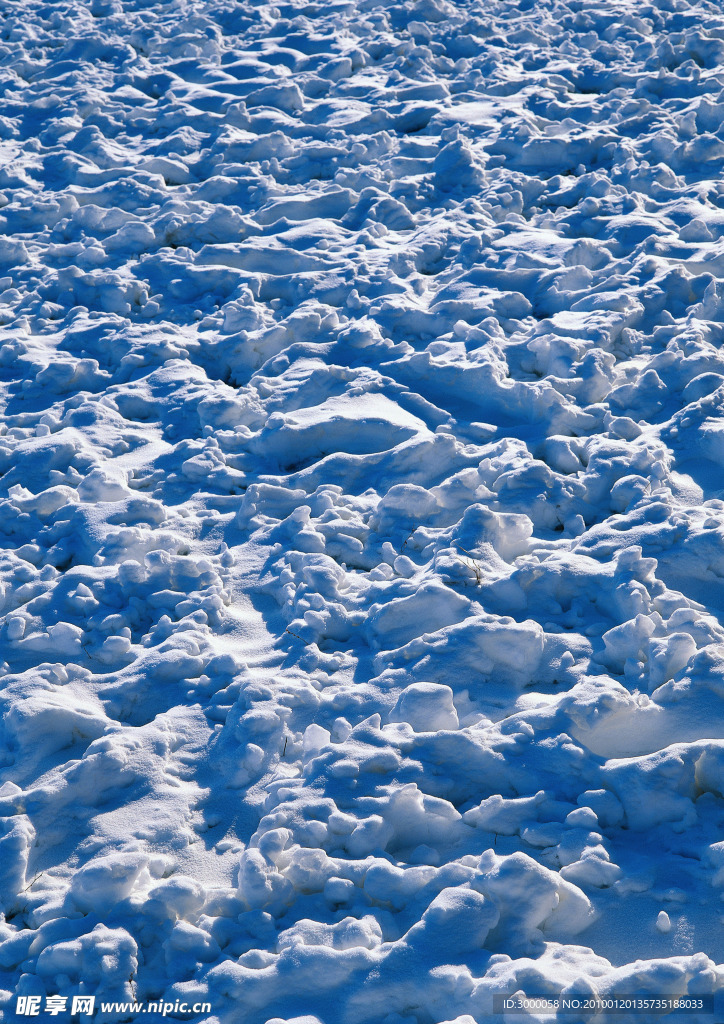 ２０１０年的大雪