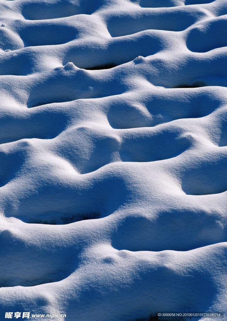 雪景色