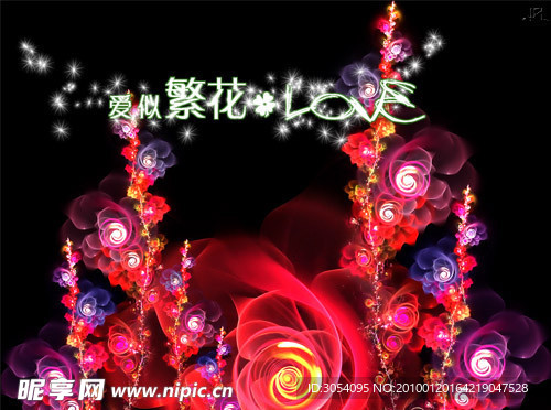 爱似繁花封面