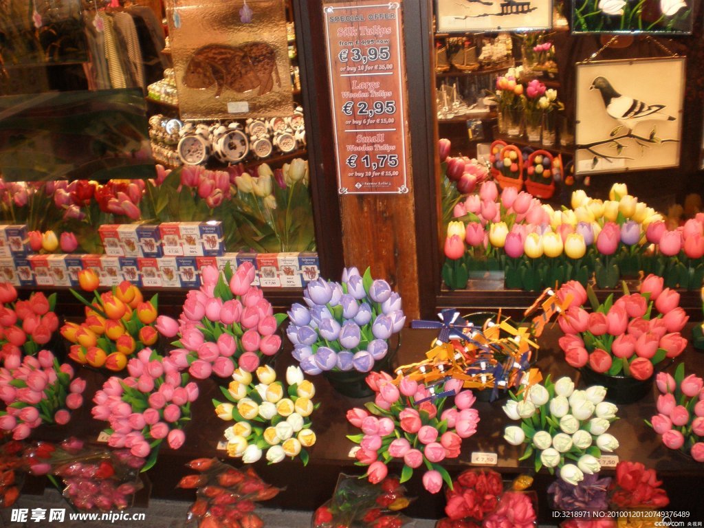 郁金香花店