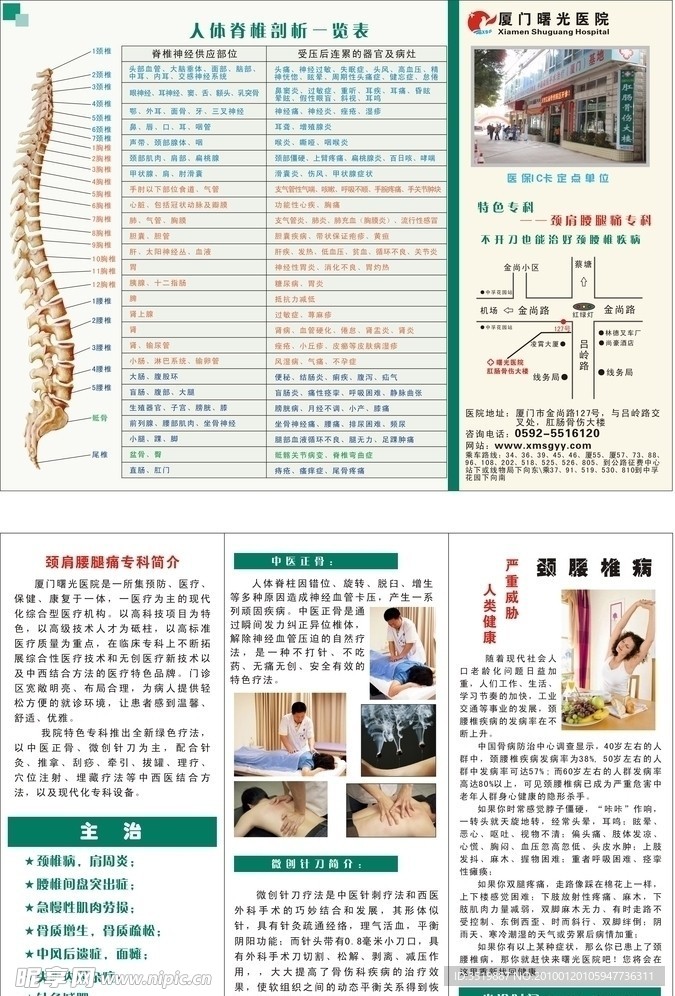 骨科折页