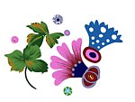 花纹