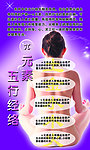 五行经络