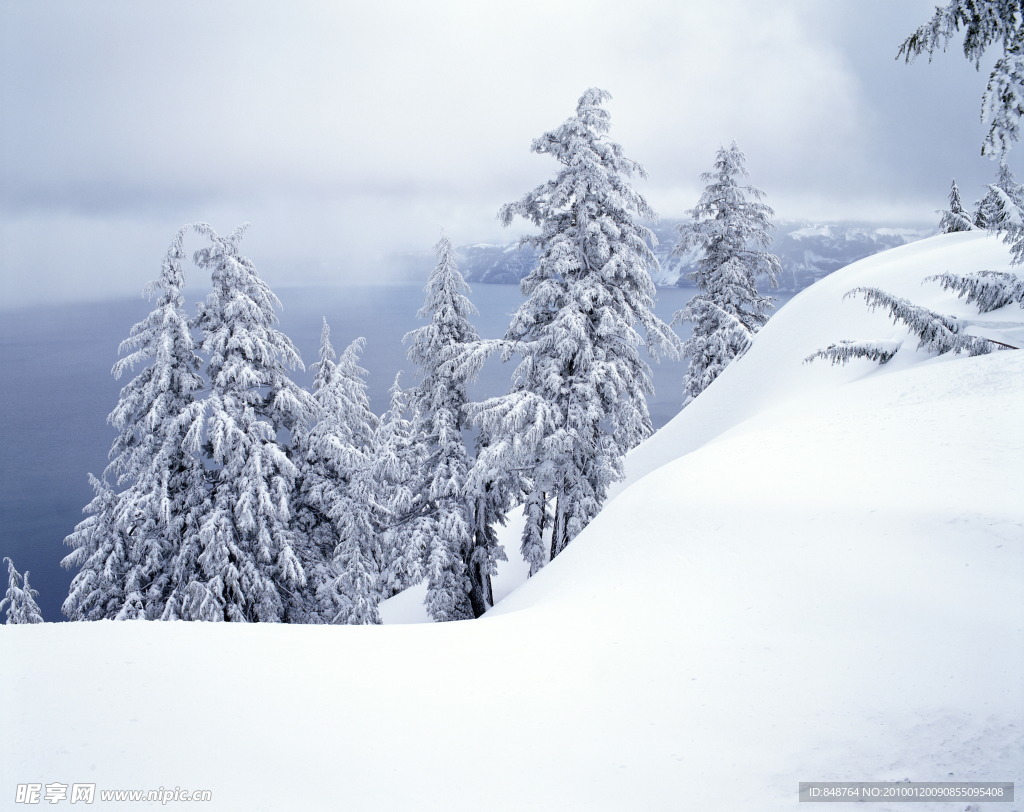 雪景