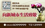 房地产单页