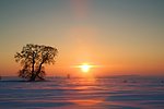 雪野夕阳