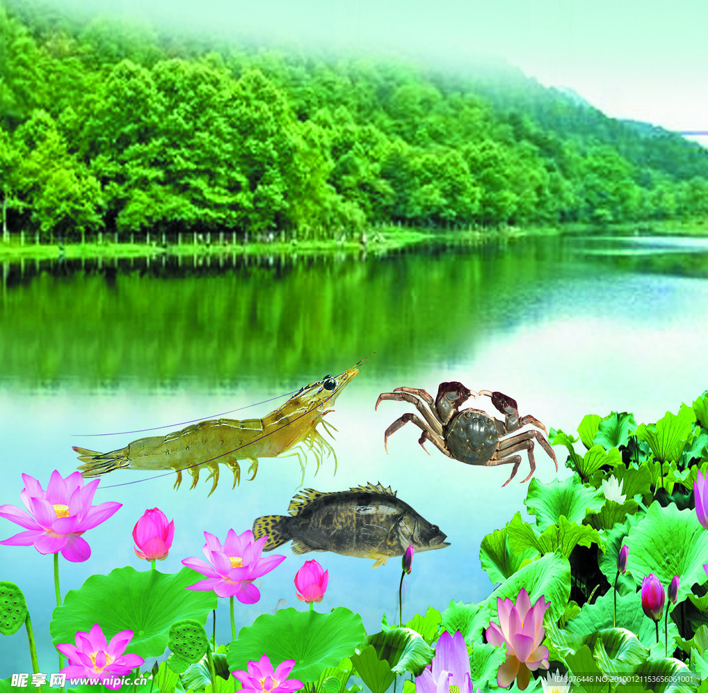 湖水