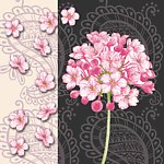 绚丽球花
